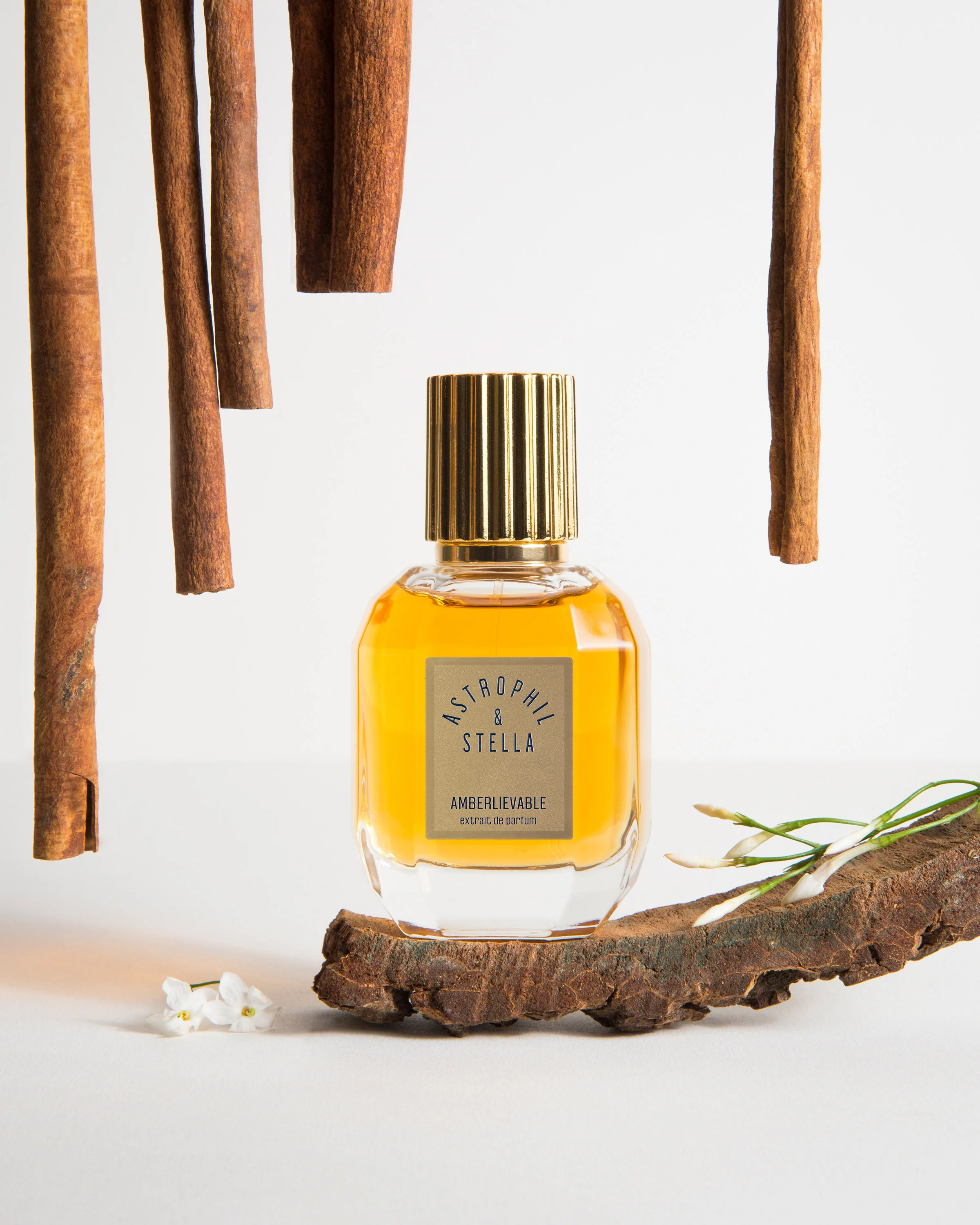 Amberlievable Astrophil & Stella Extrait de Parfum 50ml - Image 5