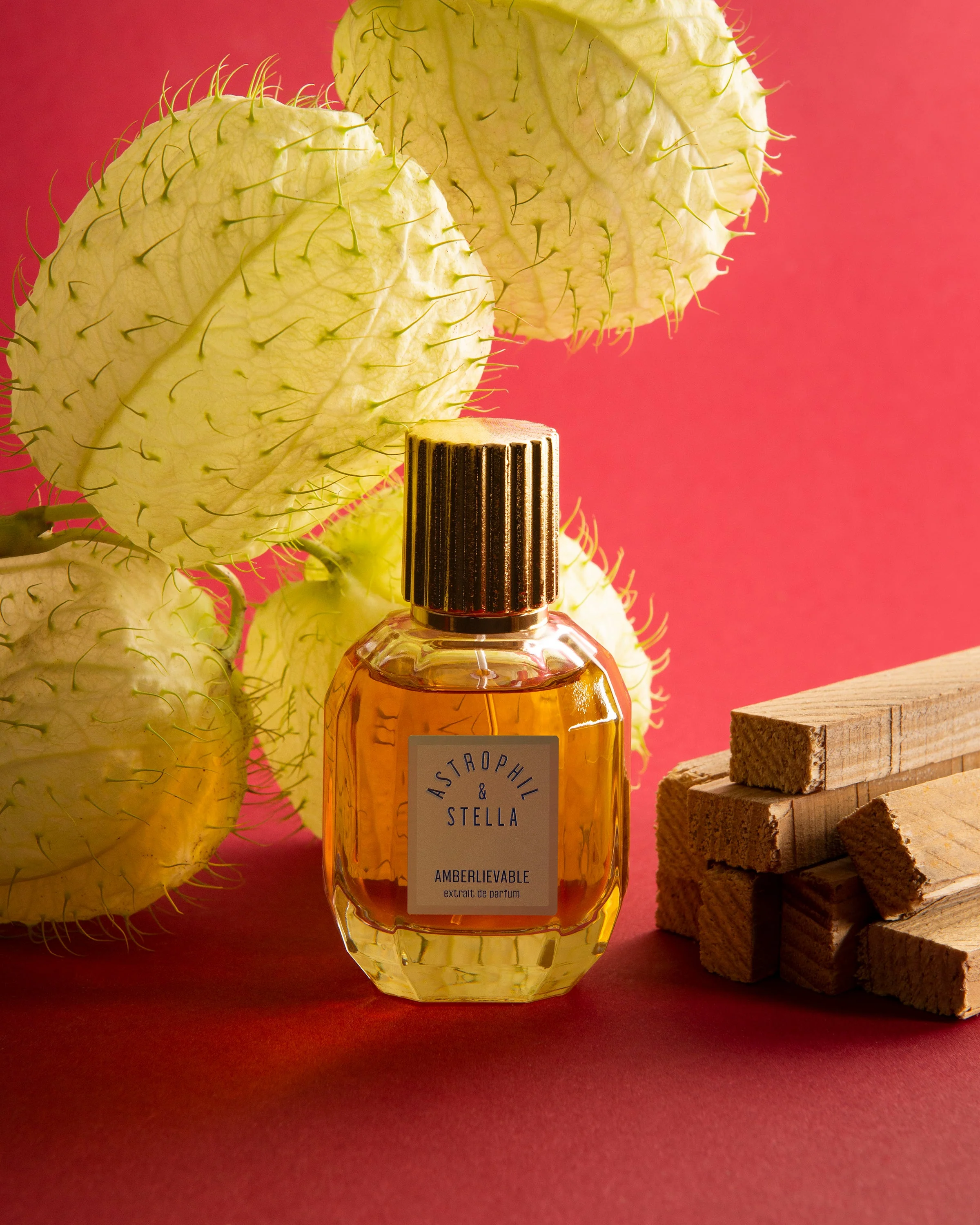 Amberlievable Astrophil & Stella Extrait de Parfum Sample 2ml - Image 3