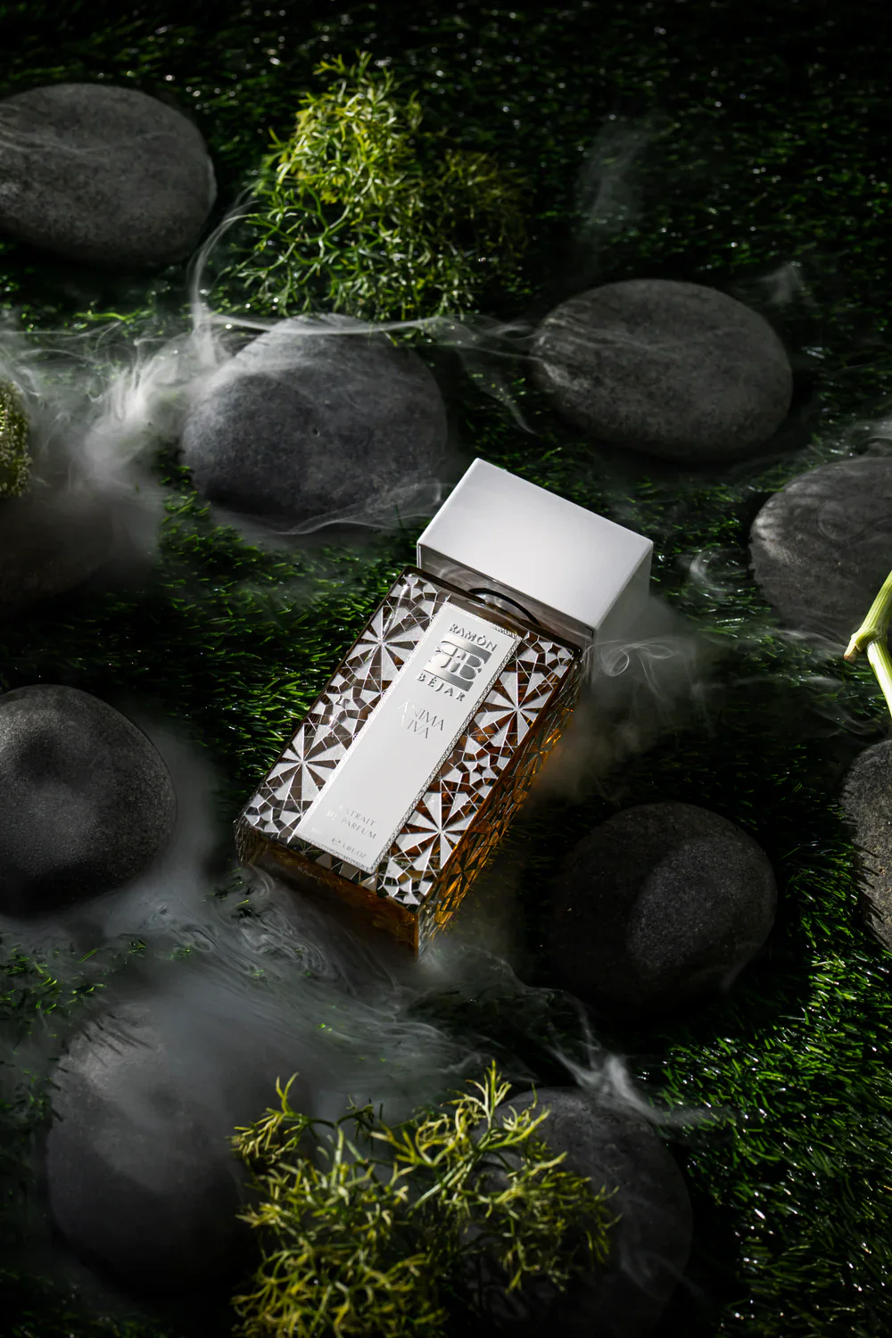 Anima Viva Ramon Bejar Extrait De Parfum 100ml - Image 4