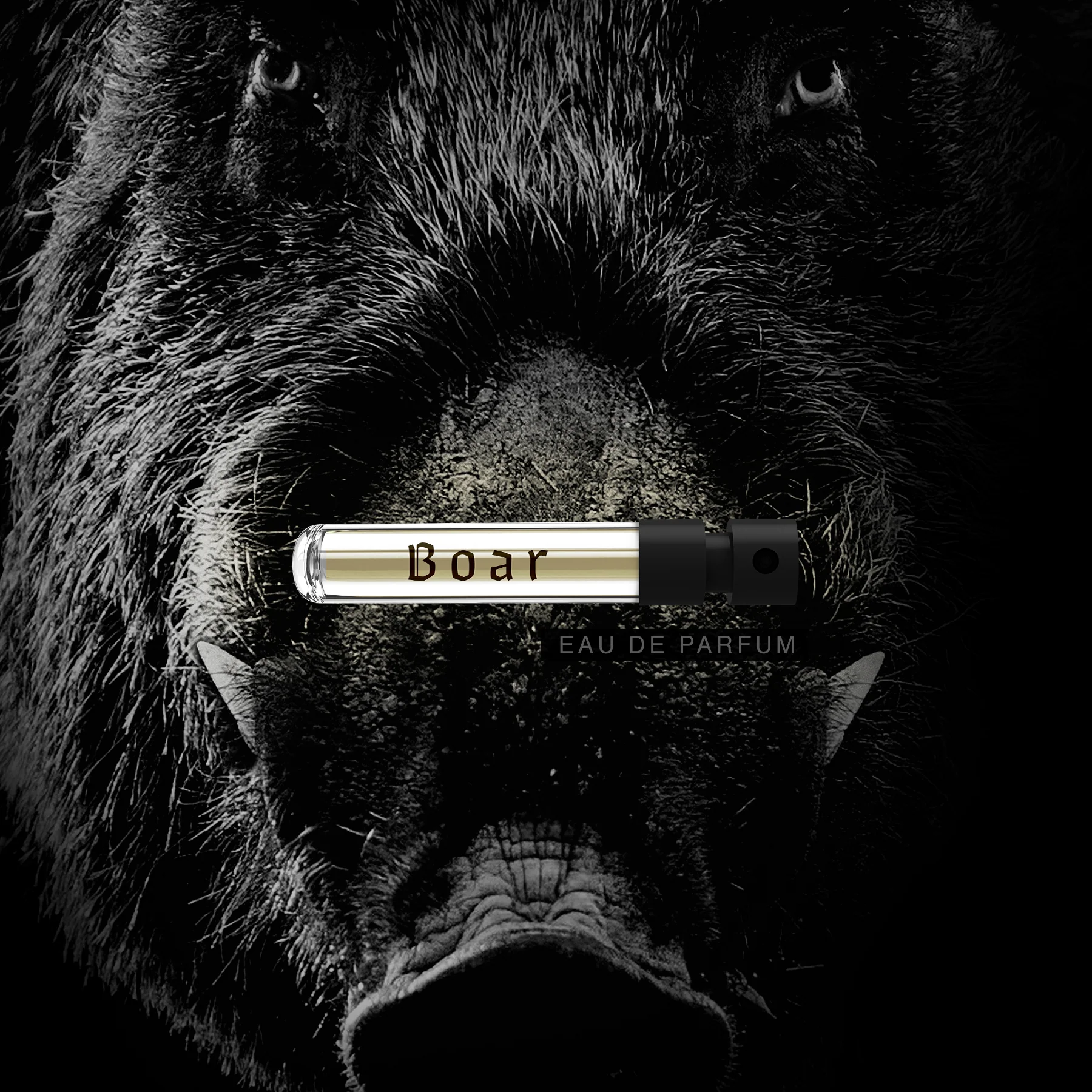 Boar Wild Slavic Fragrance - Eau de Parfum Duftprøve 2ml - Image 3
