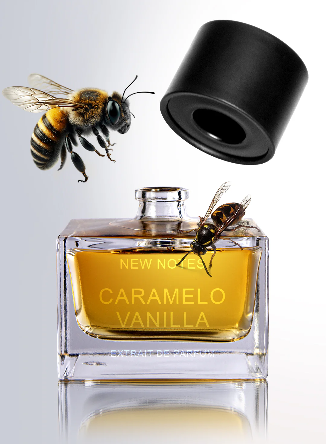 Caramello Vanilla New Notes Extrait De Parfum - Image 2