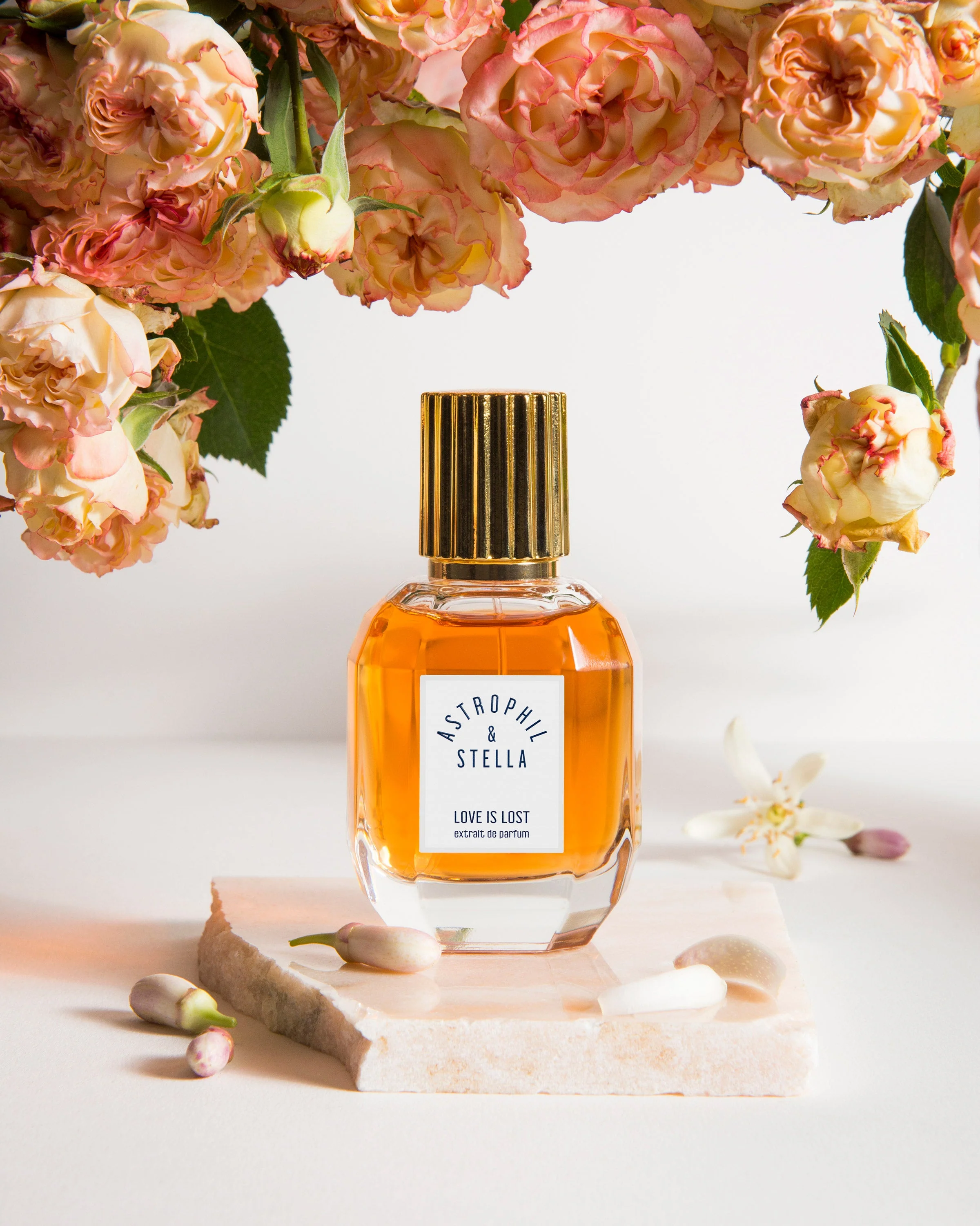 Love Is Lost Astrophil & Stella Extrait de Parfum Sample 2ml - Image 3