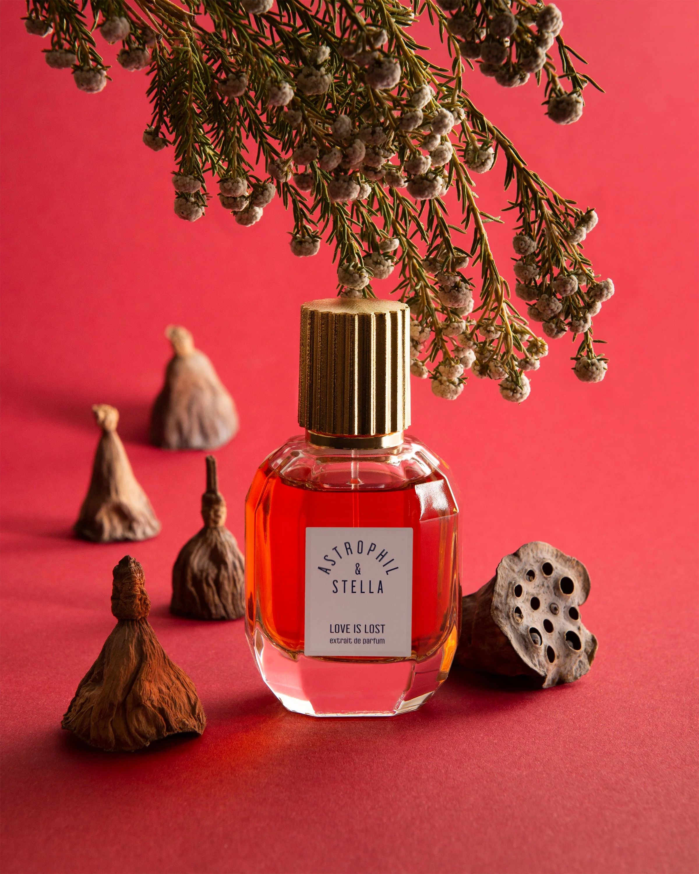 Love Is Lost Astrophil & Stella Extrait de Parfum Sample 2ml - Image 7