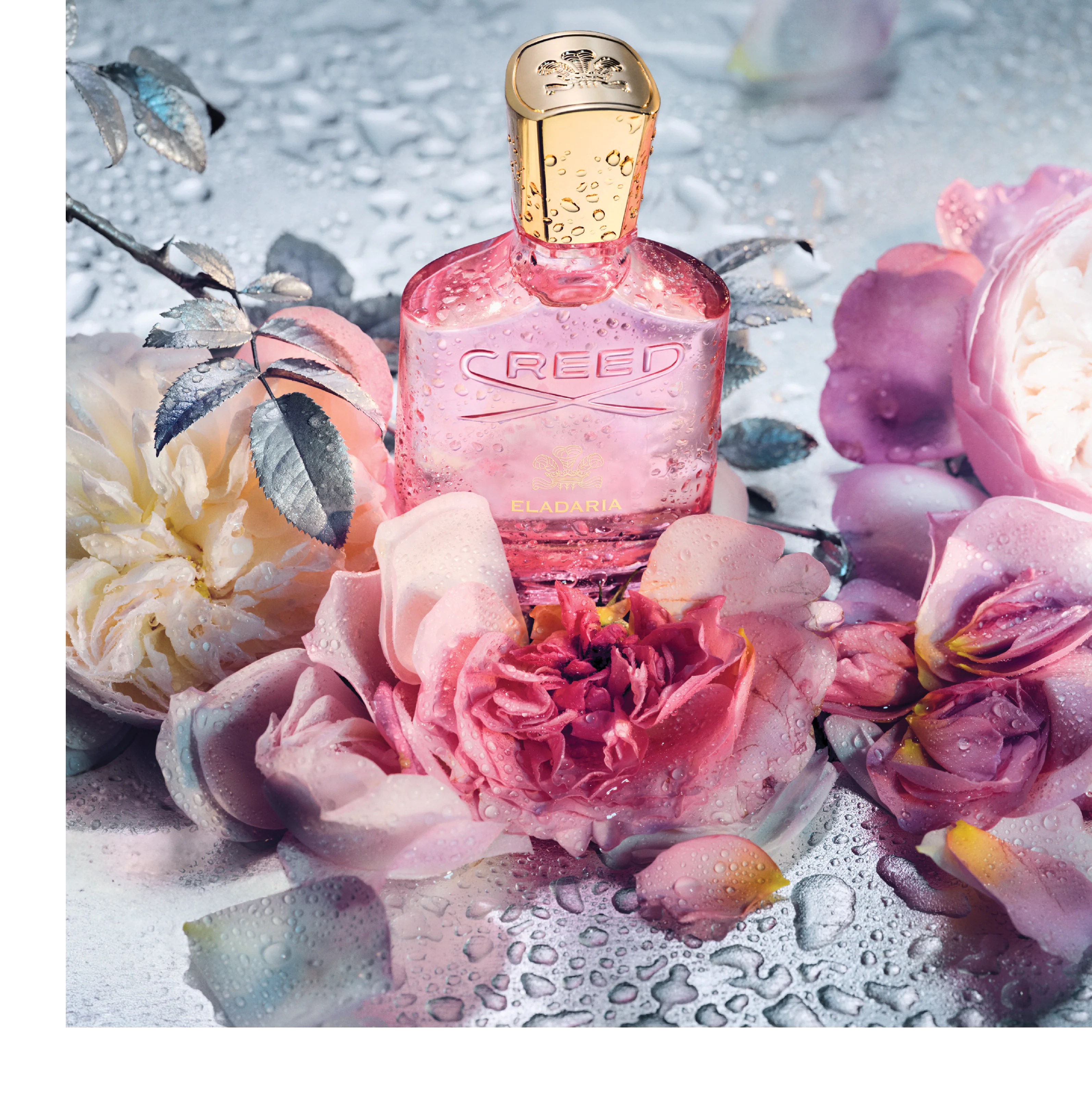 Creed Eladaria Eau de Parfum Sample - Image 5