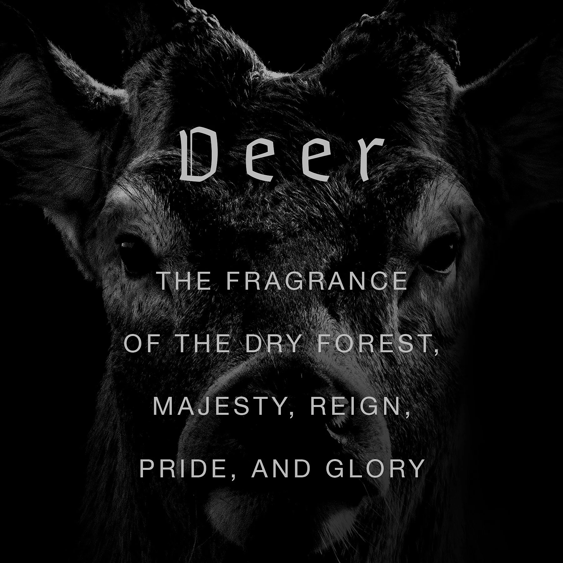 Deer Wild Slavic Fragrance - Eau de Parfum Duftprøve 2ml - Image 3