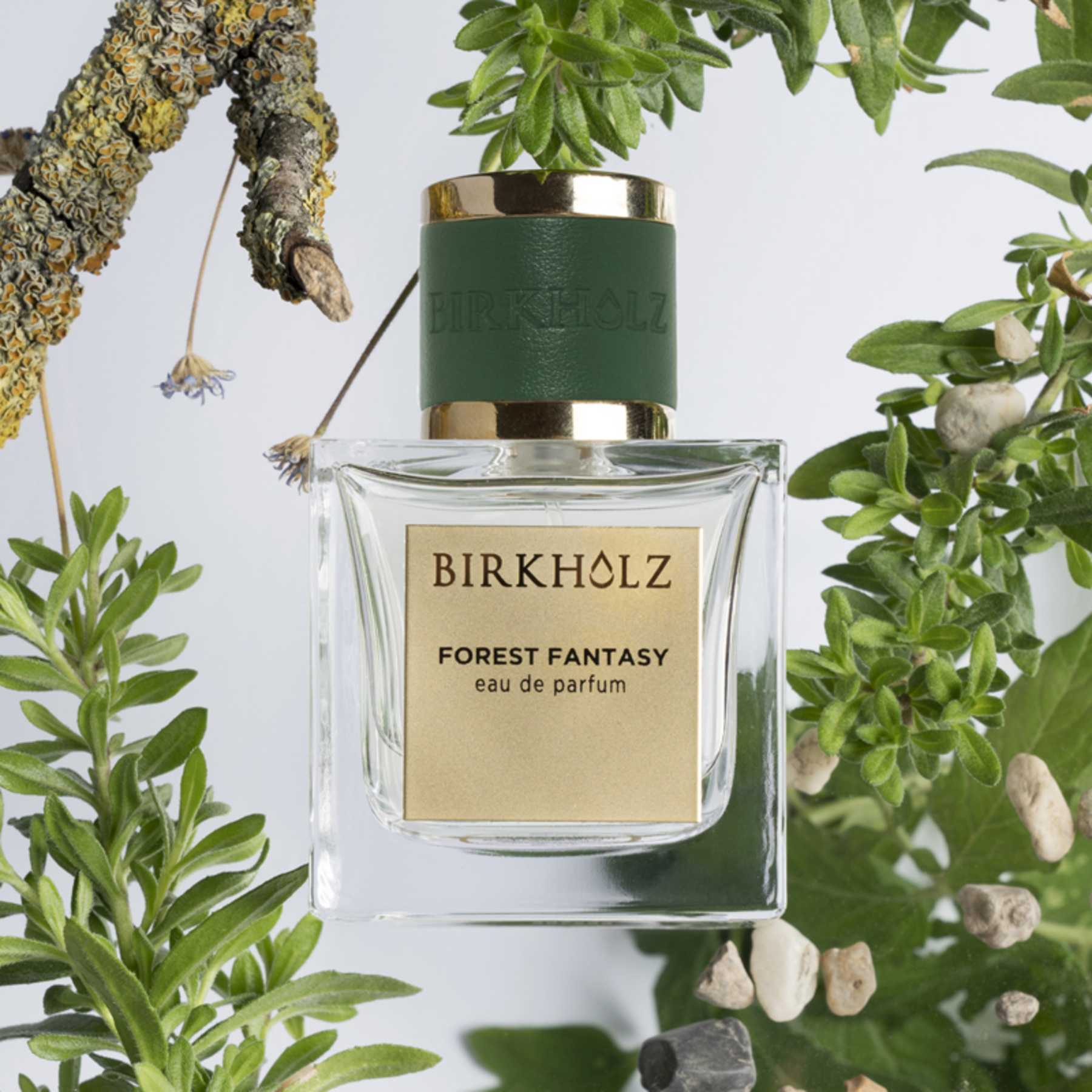 Forest Fantasy Birkholz Eau de Parfum 100ml - Image 2