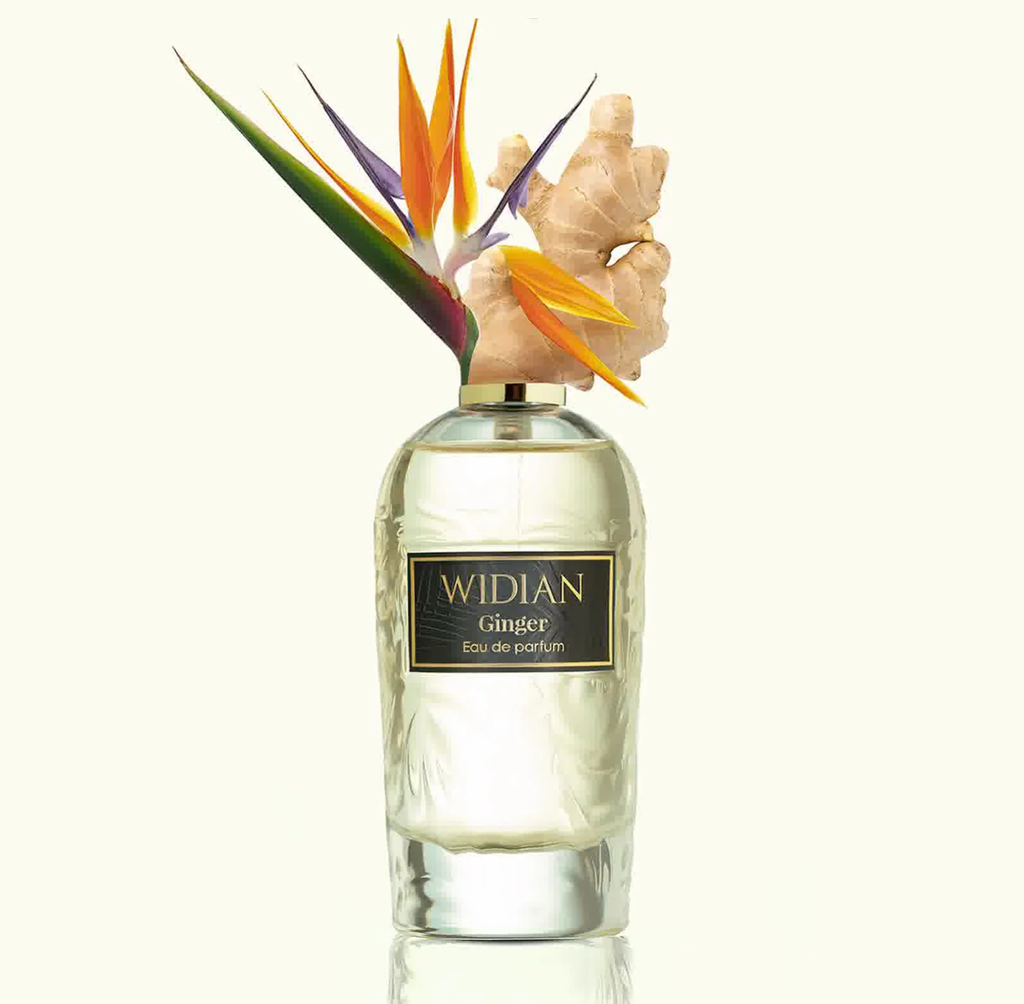 Ginger Widian Eau de Parfum Sample - Image 3