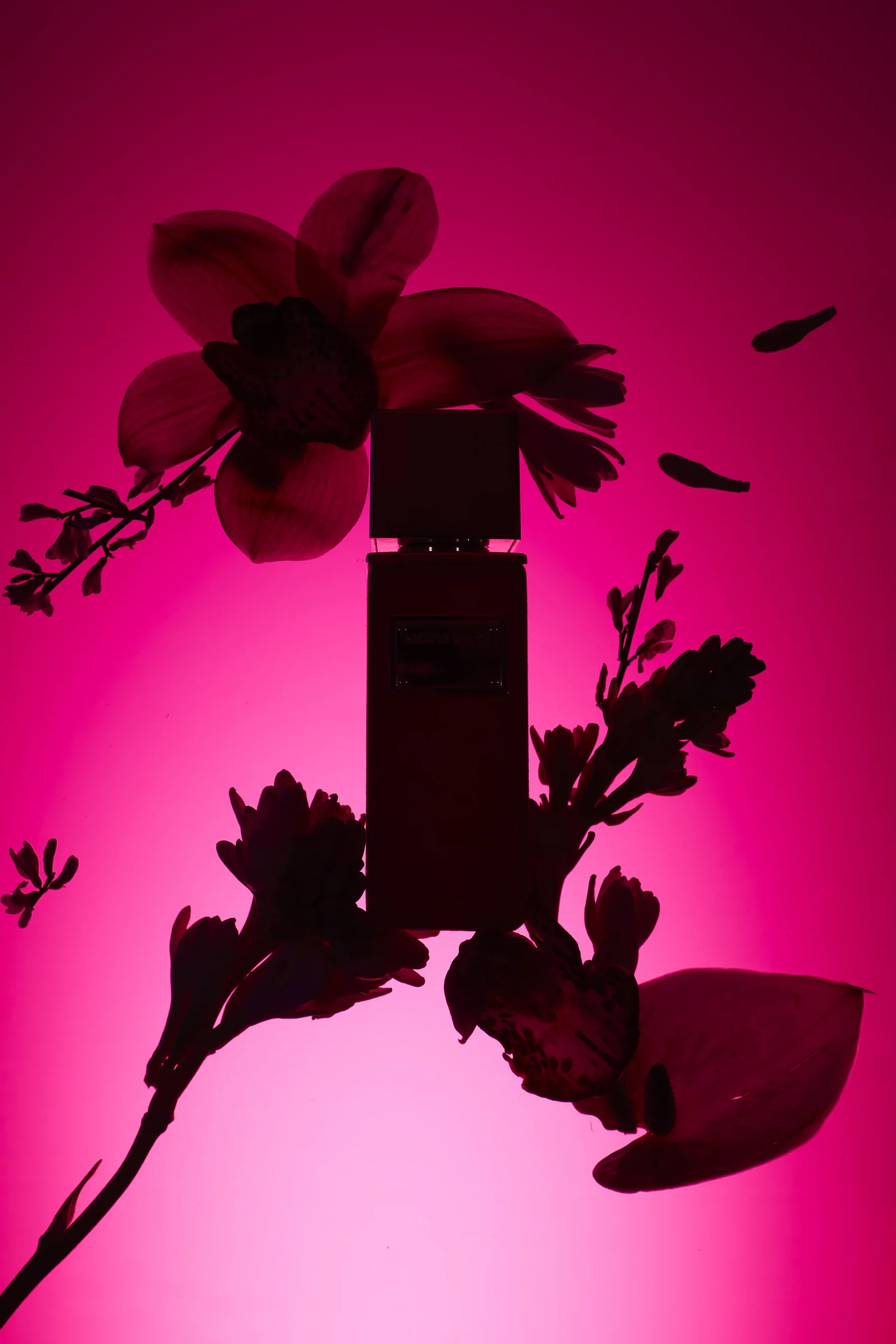 Hysterica Gritti Extrait de Parfum Sample - Image 5