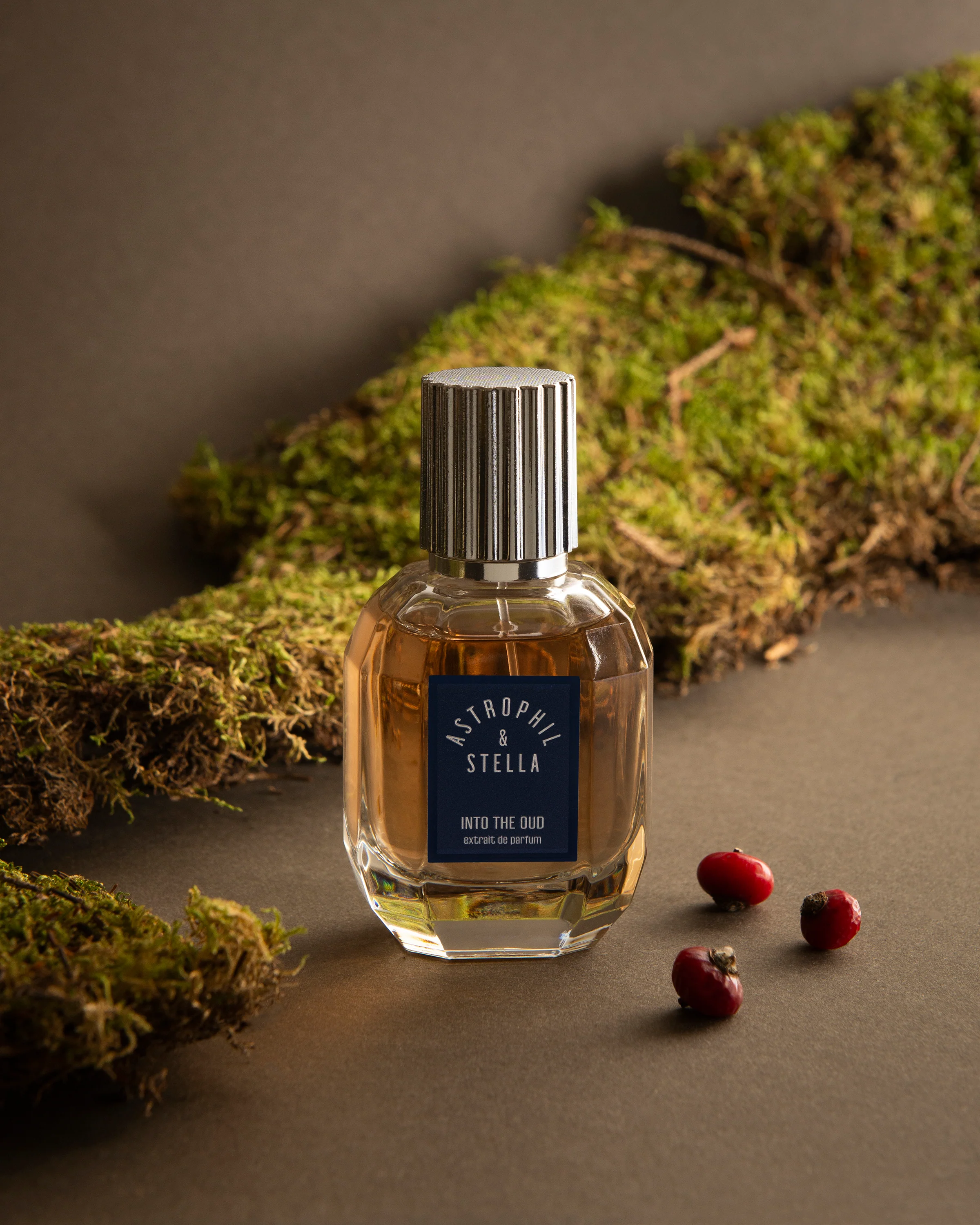 Into The Oud Astrophil & Stella Extrait de Parfum 50ml - Image 5