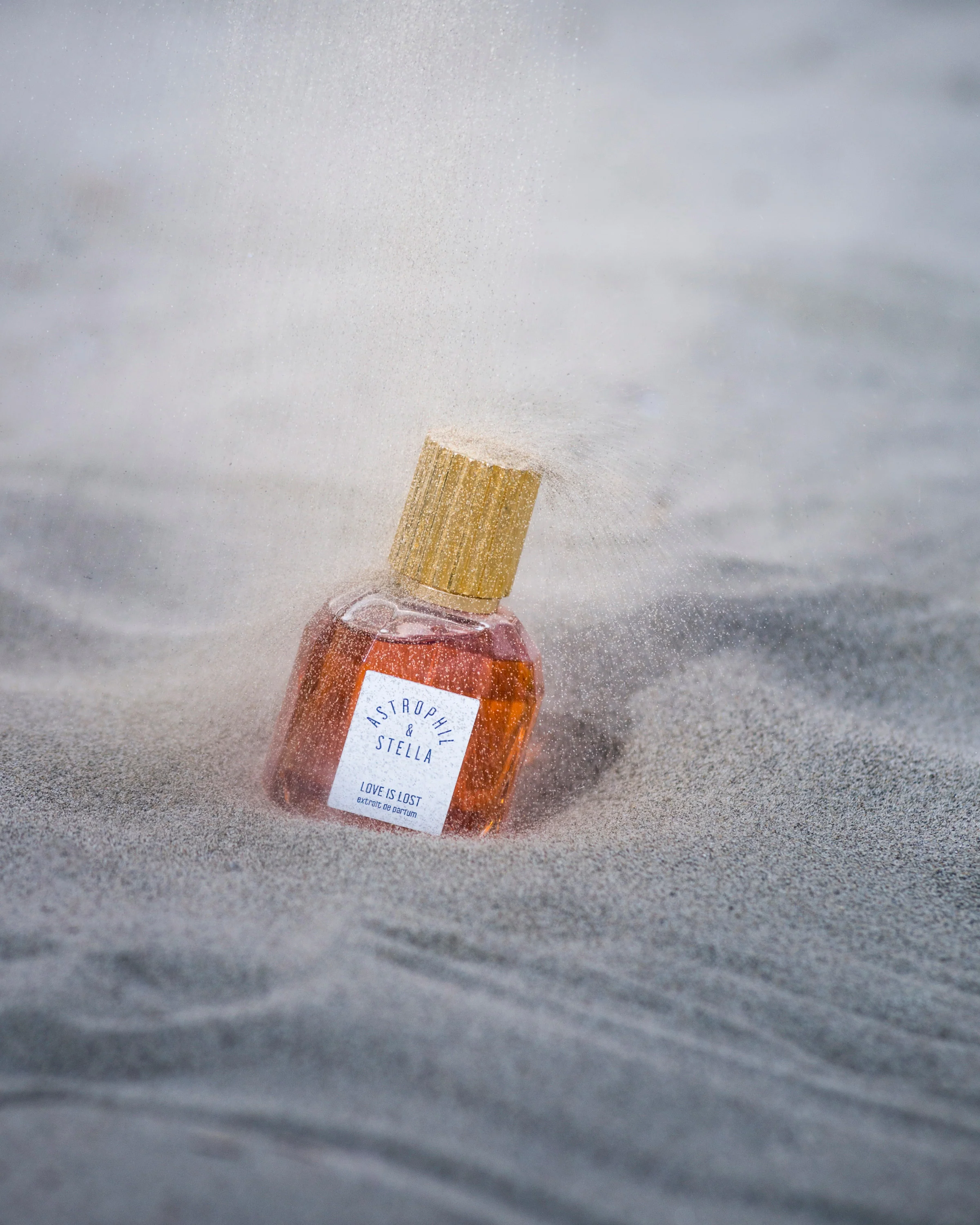 Love Is Lost Astrophil & Stella Extrait de Parfum 50ml - Image 7