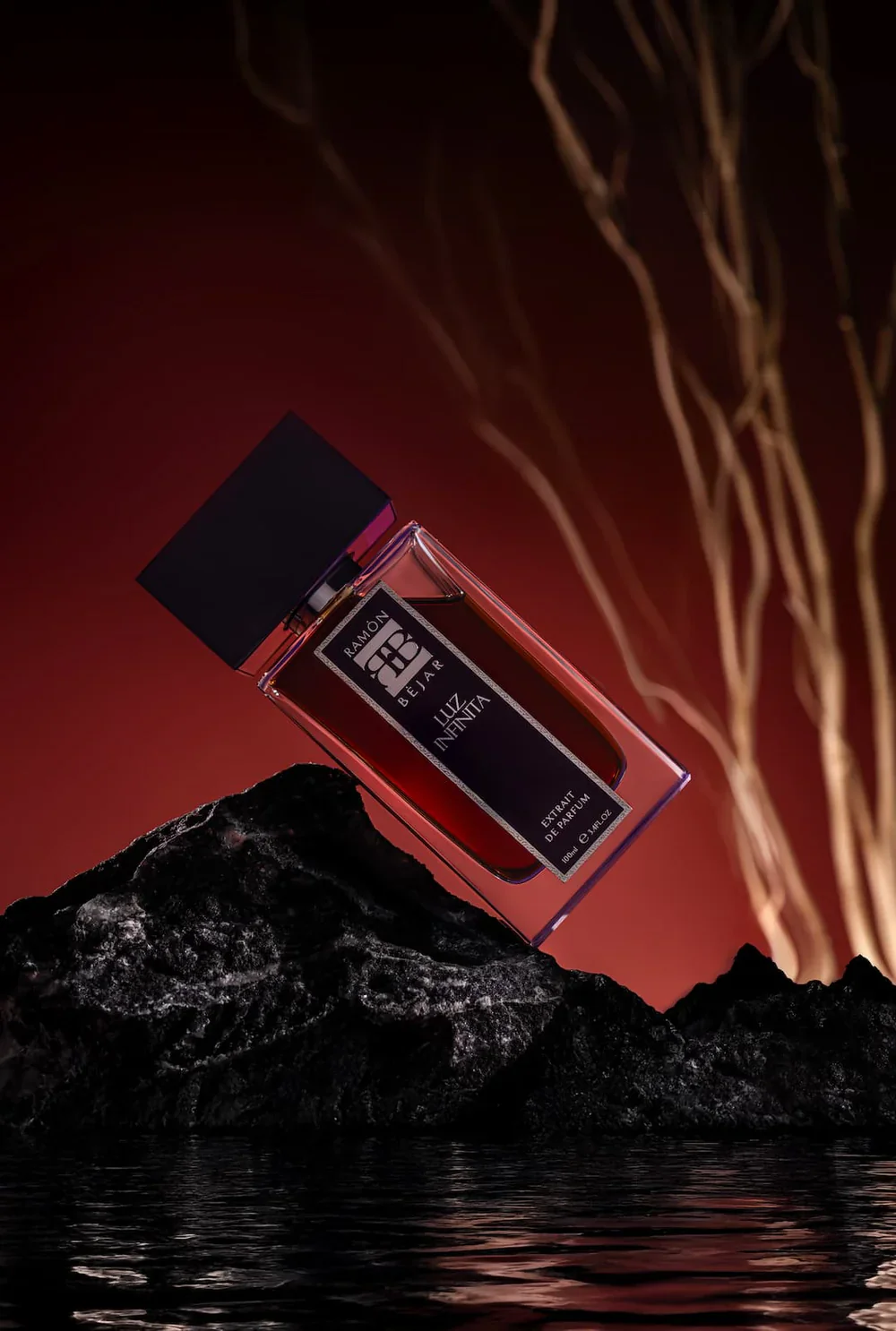 Luz Infinita Ramon Bejar Extrait De Parfum 100ml - Image 4