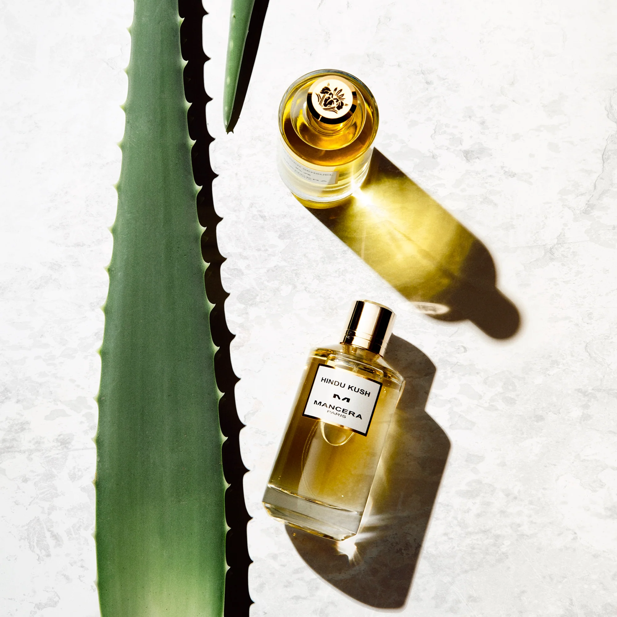 Mancera Hindu Kush Eau De Parfum 120ml - Image 2