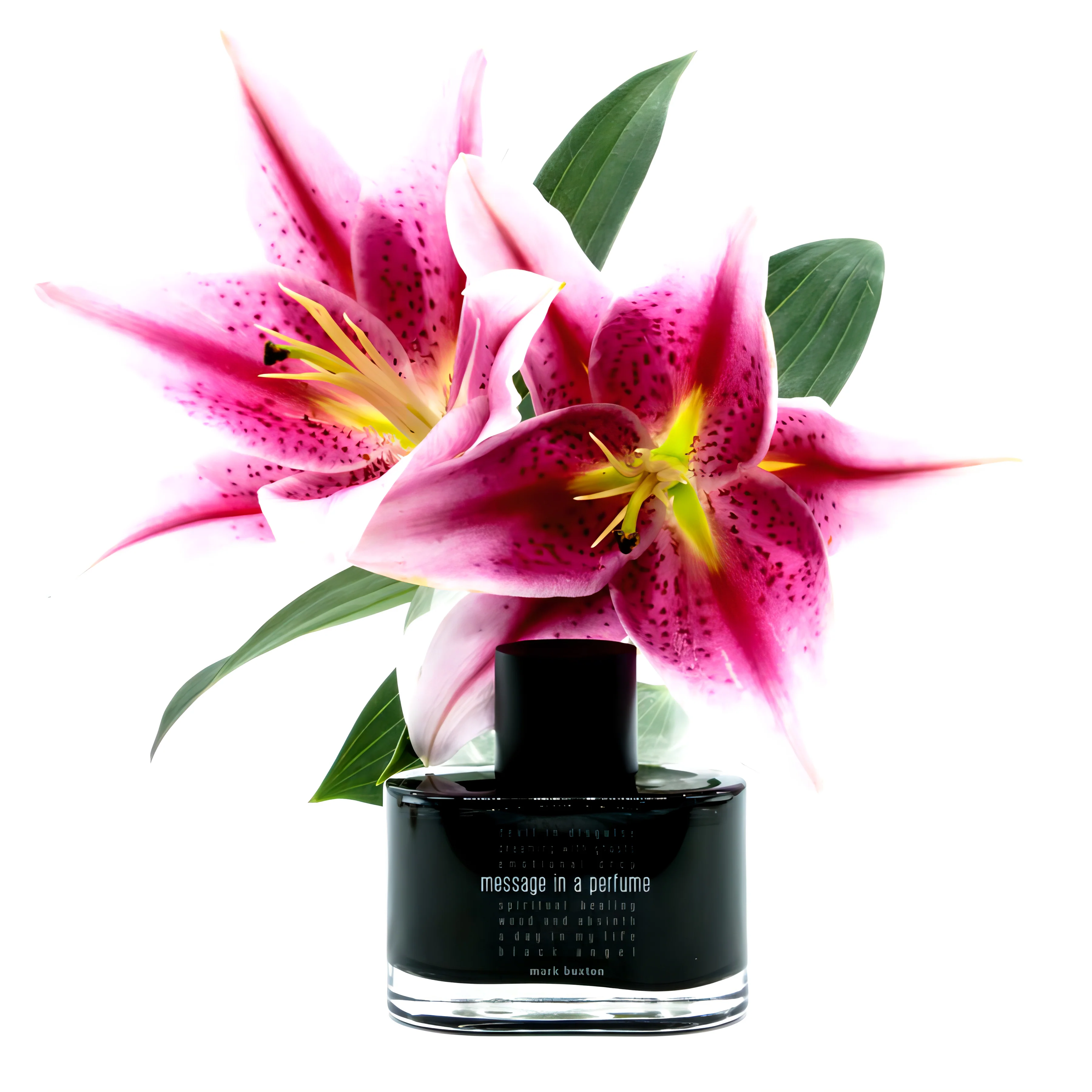 Message in a Perfume Mark Buxton Eau De Parfum 100ml - Image 4