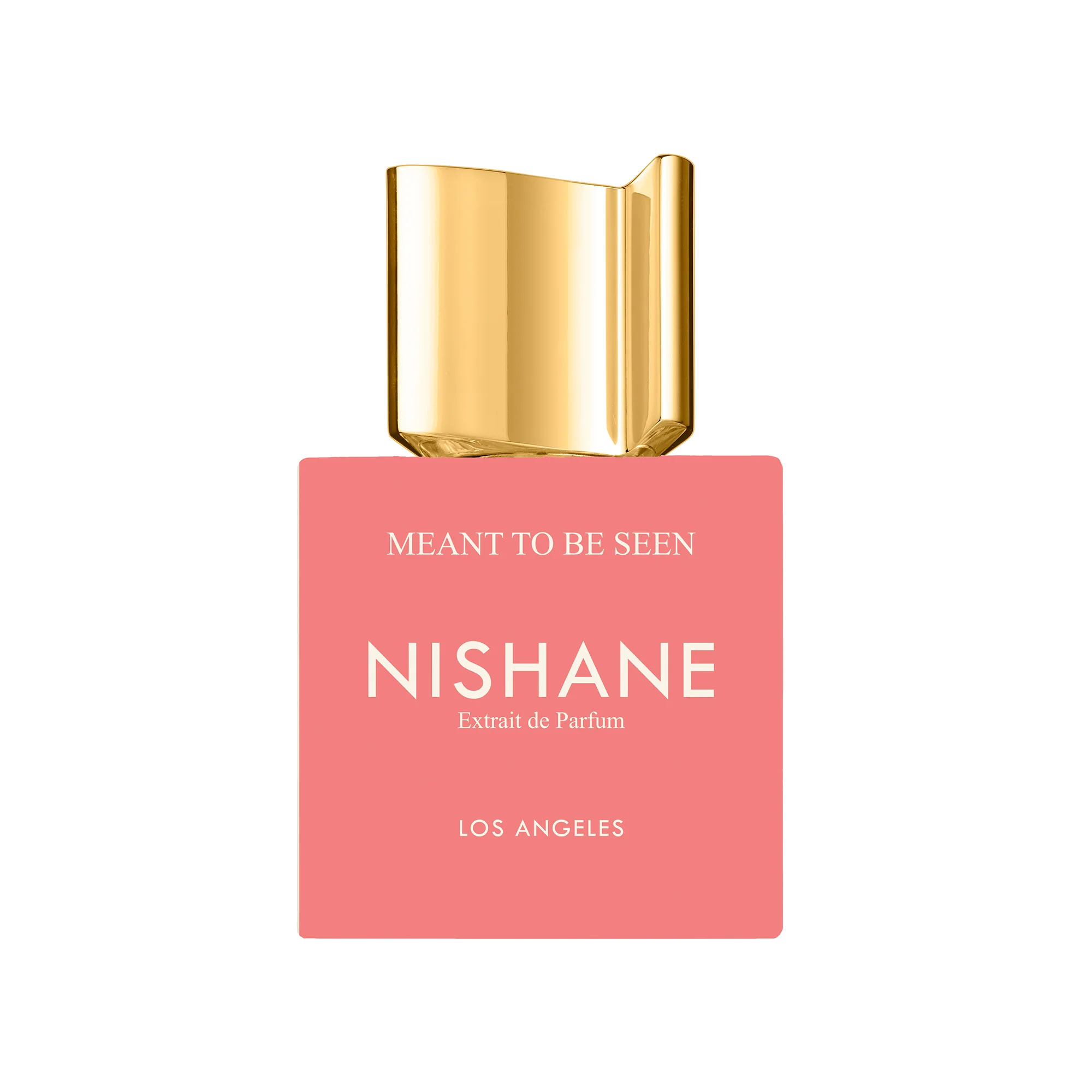 Meant to be Seen Nishane Extrait de Parfum - Image 2