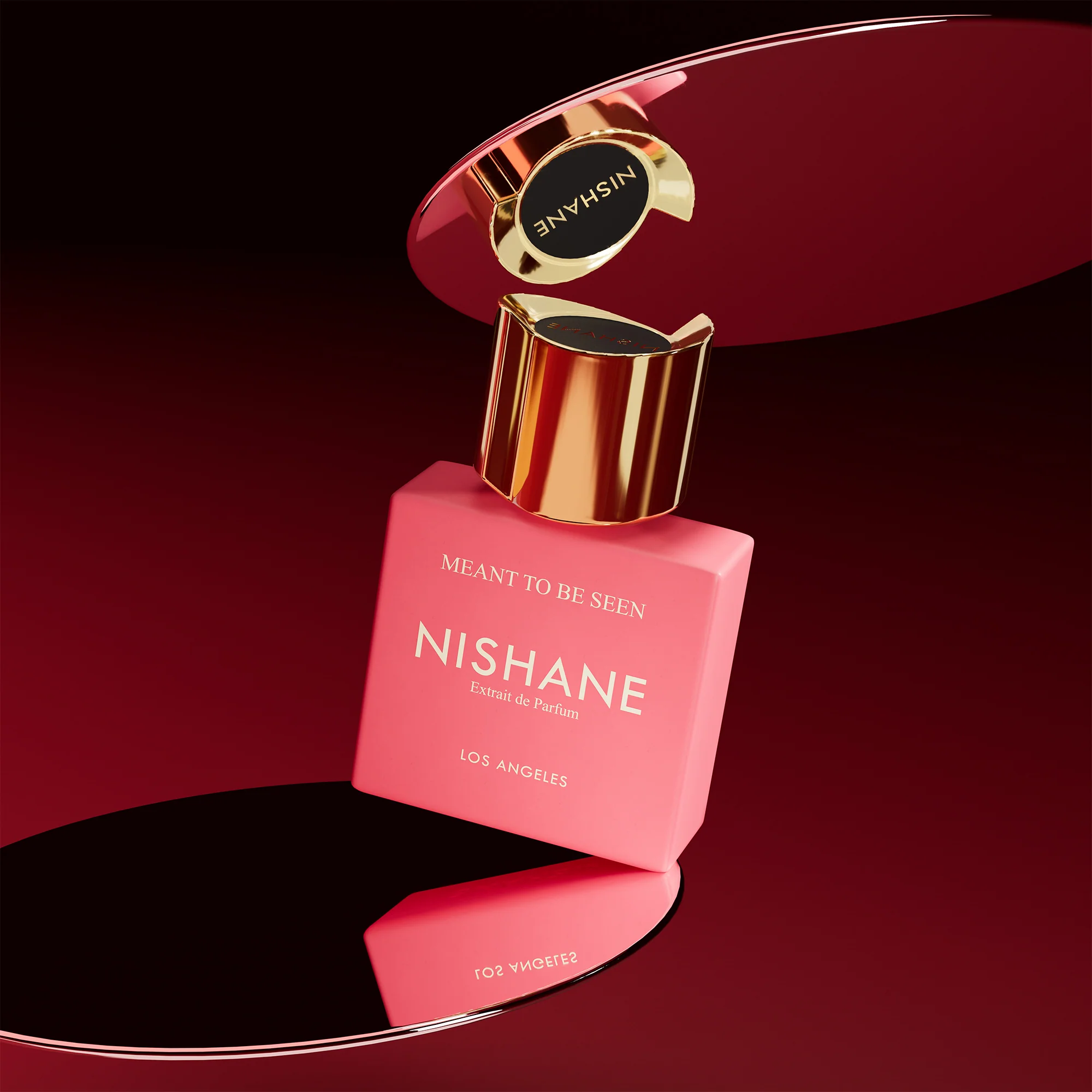 Meant to be Seen Nishane Extrait de Parfum - Image 4
