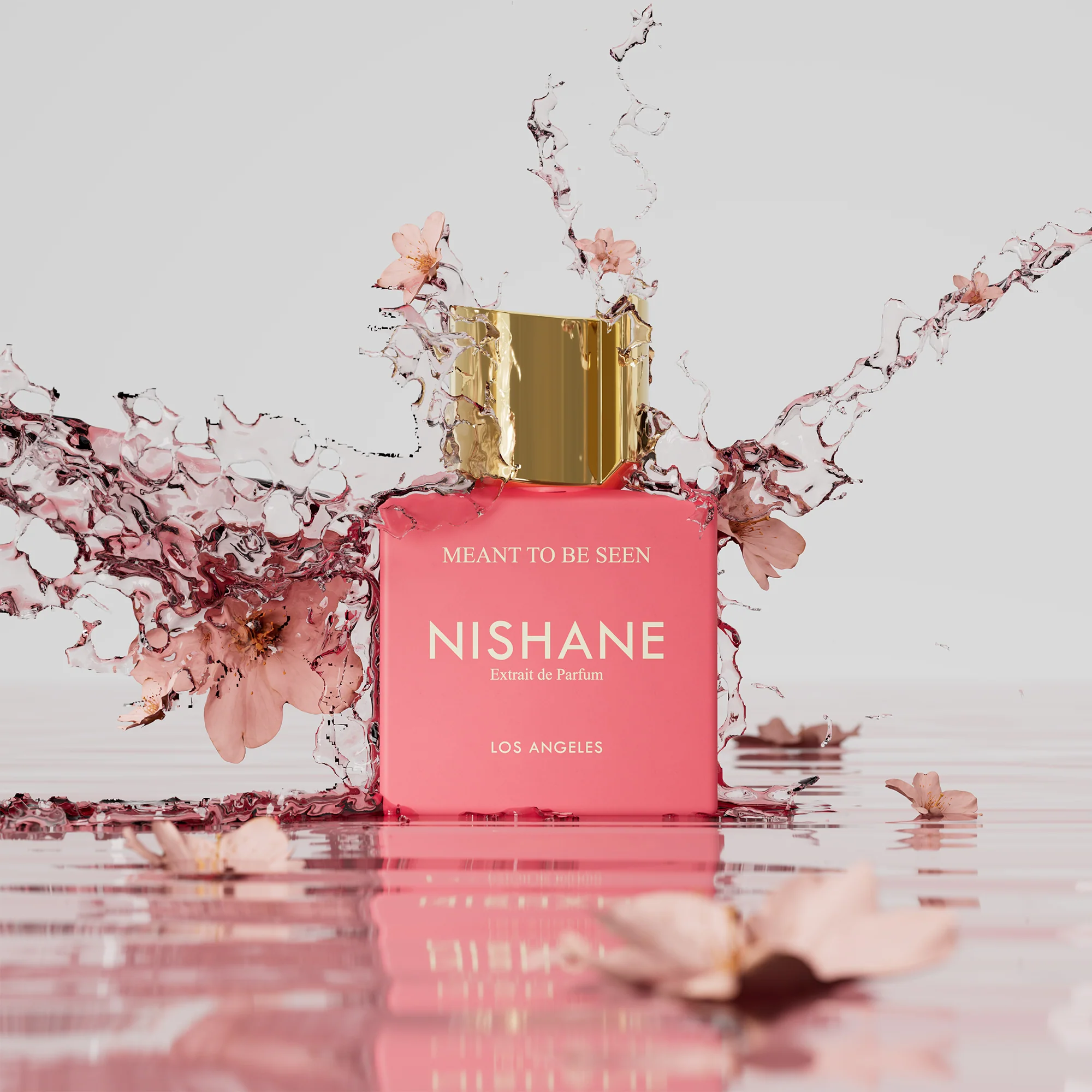 Meant to be Seen Nishane Extrait de Parfum - Image 8