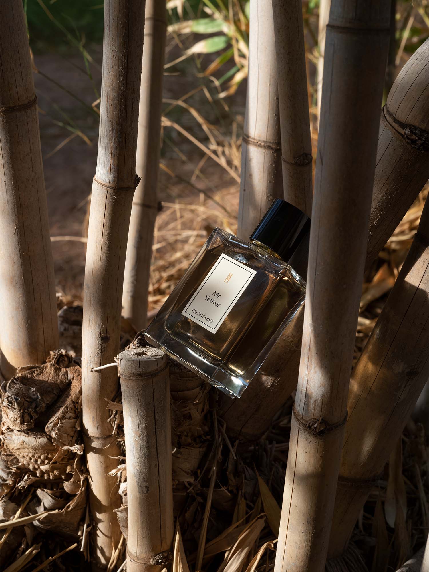 Mr. Vetiver Une Nuit Nomade Eau De Parfum - Image 5