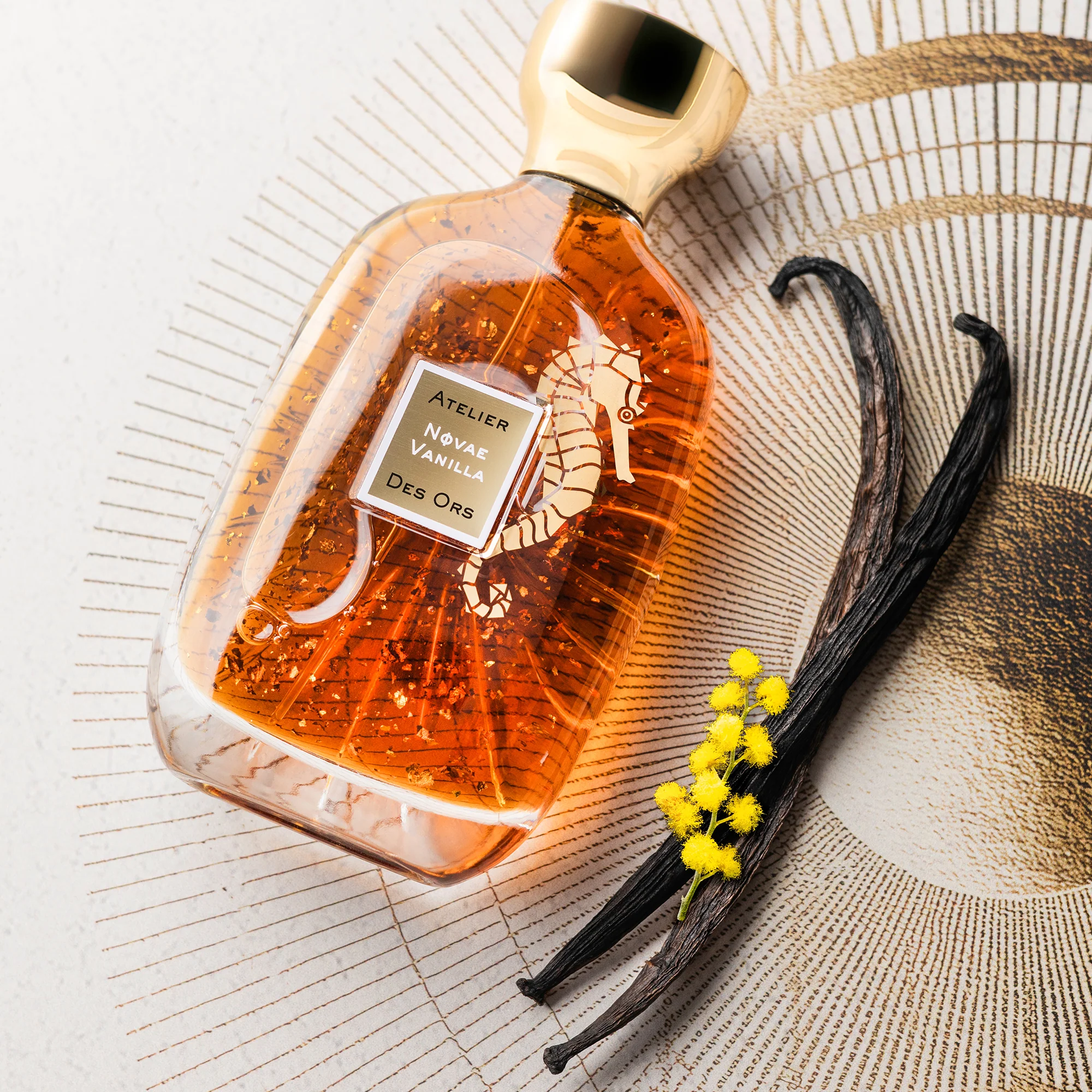 Novae Vanilla Atelier des Ors Eau de Parfum 100ml - Image 3