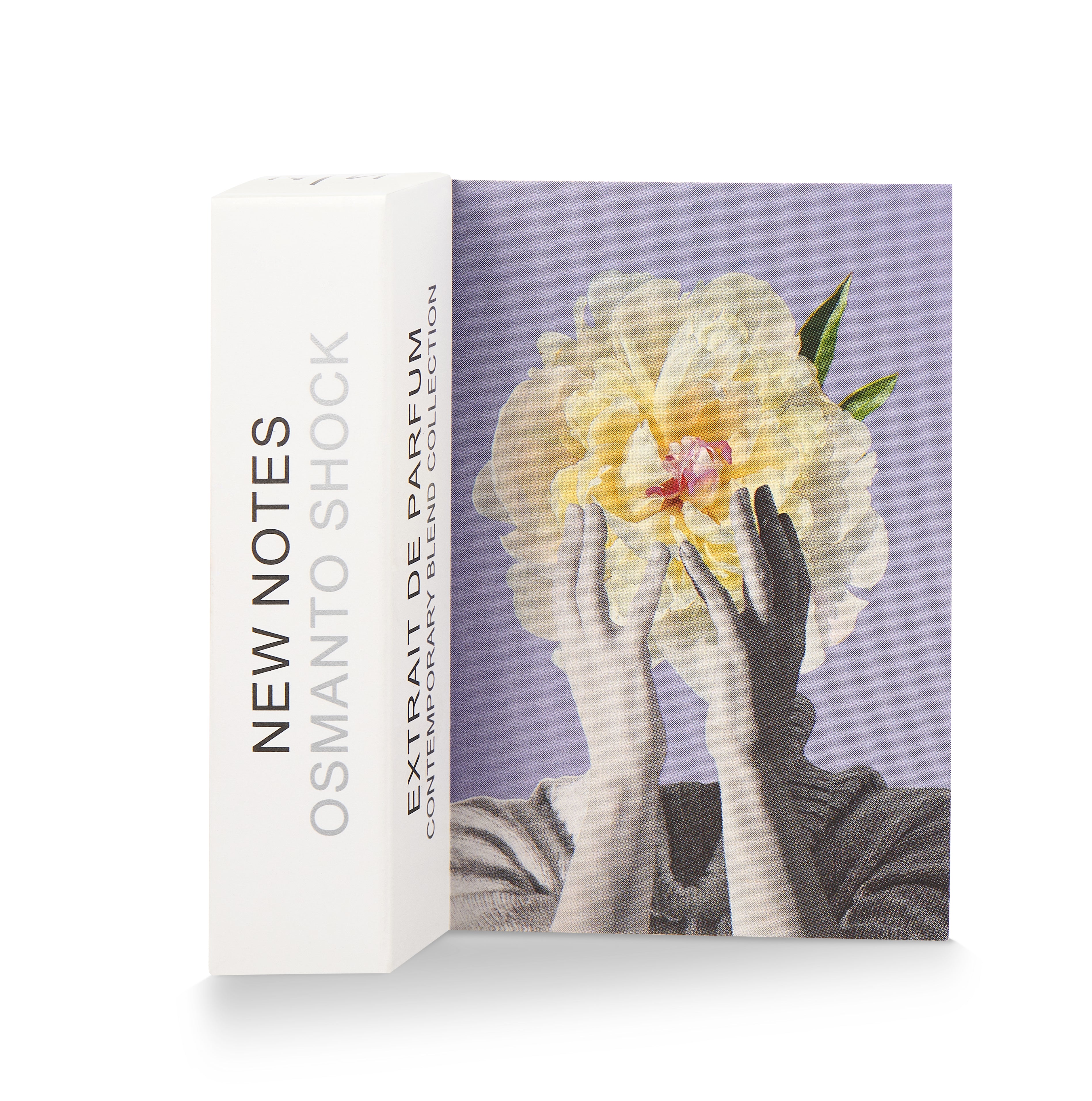 Osmanto Shock New Notes Extrait De Parfum 50ml - Image 7