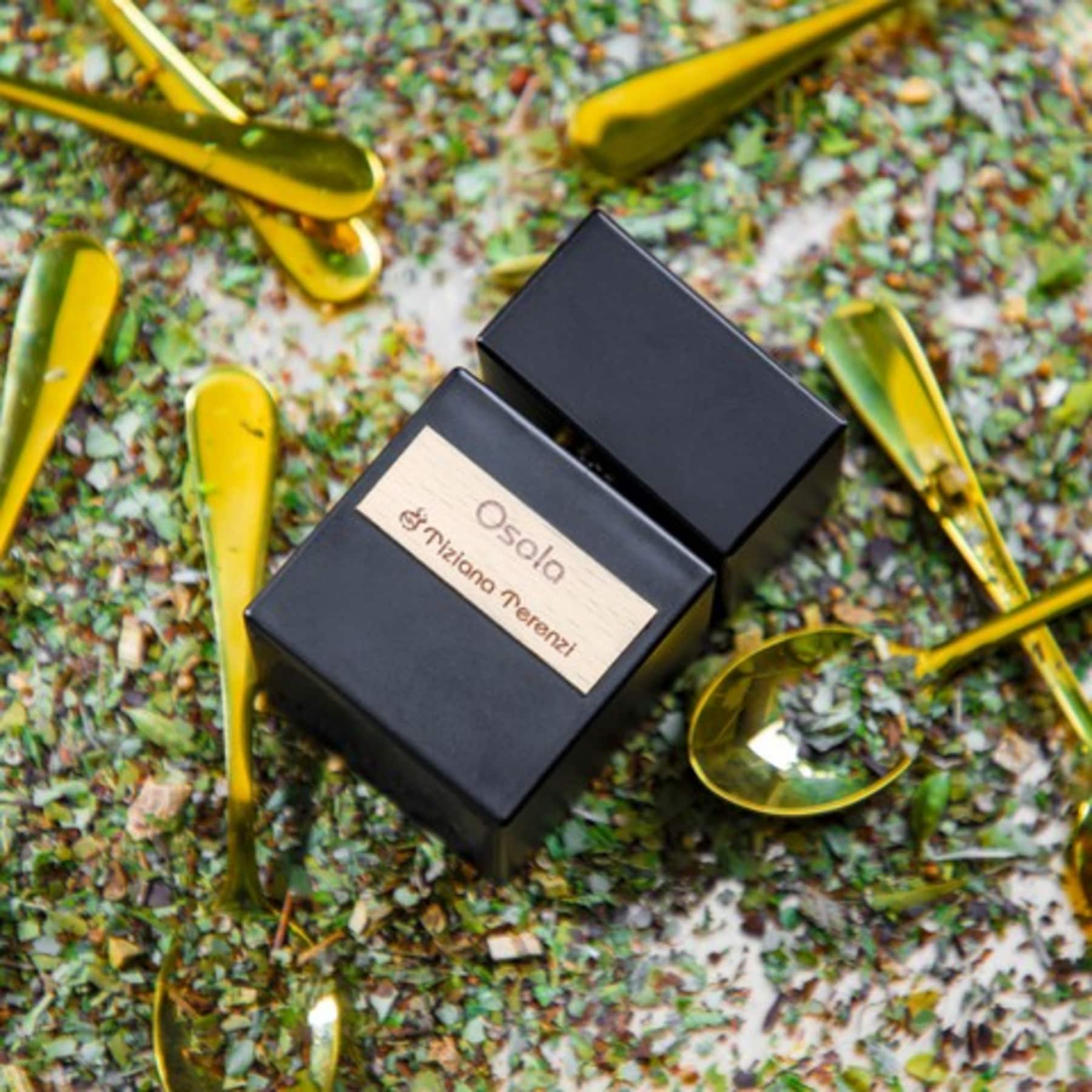 Osola Tiziana Terenzi Extrait de Parfum 100ml - Image 4