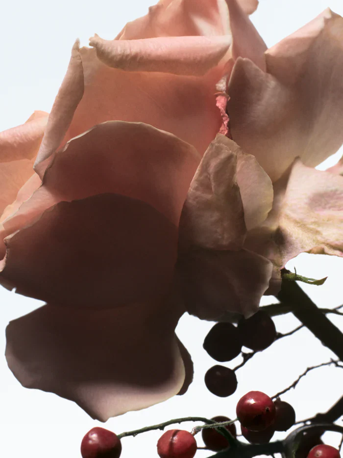 Raving Rose Dries Van Noten Eau De Parfum 100ml - Image 2