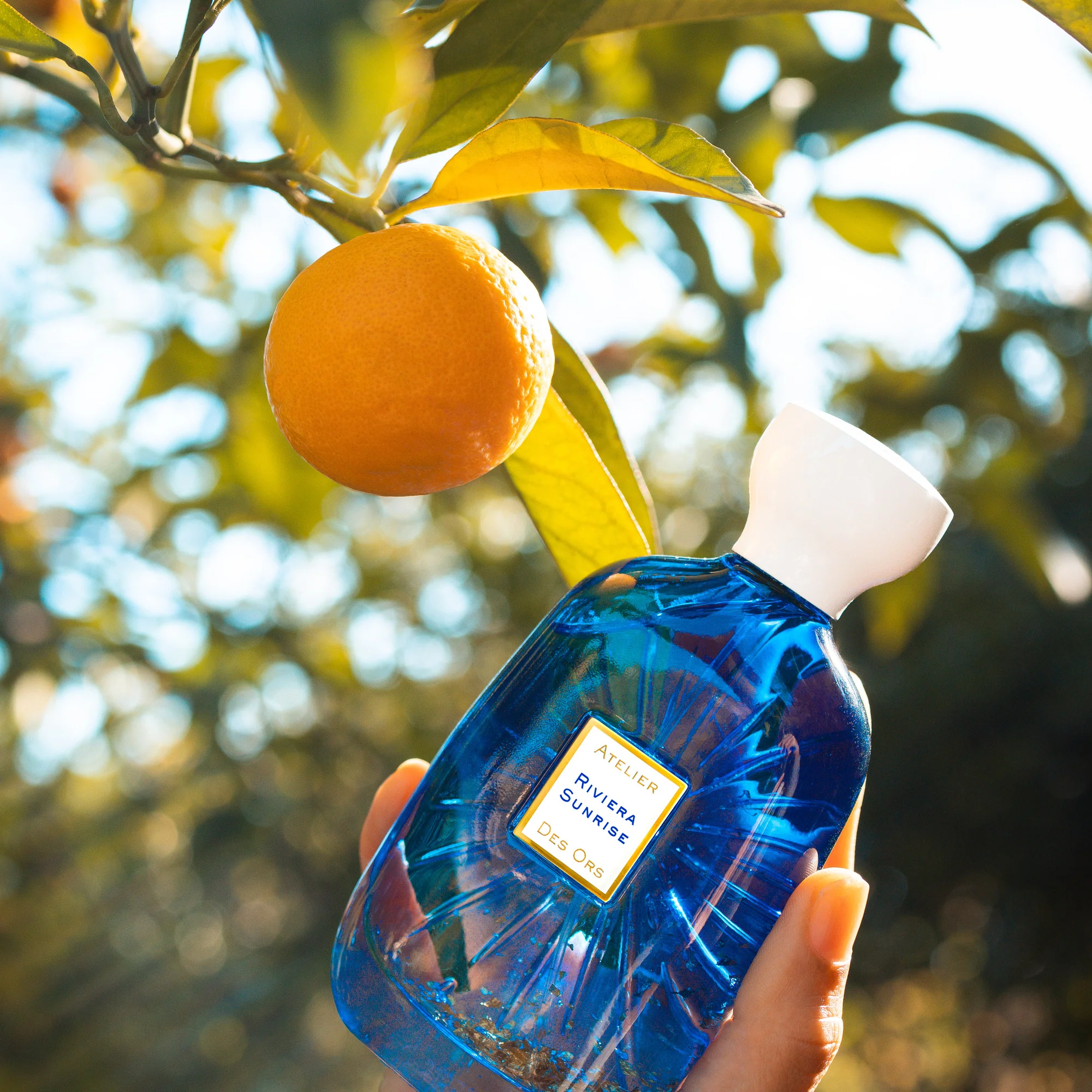 Riviera Sunrise Atelier Des Ors Eau de Parfum 100ml - Image 5