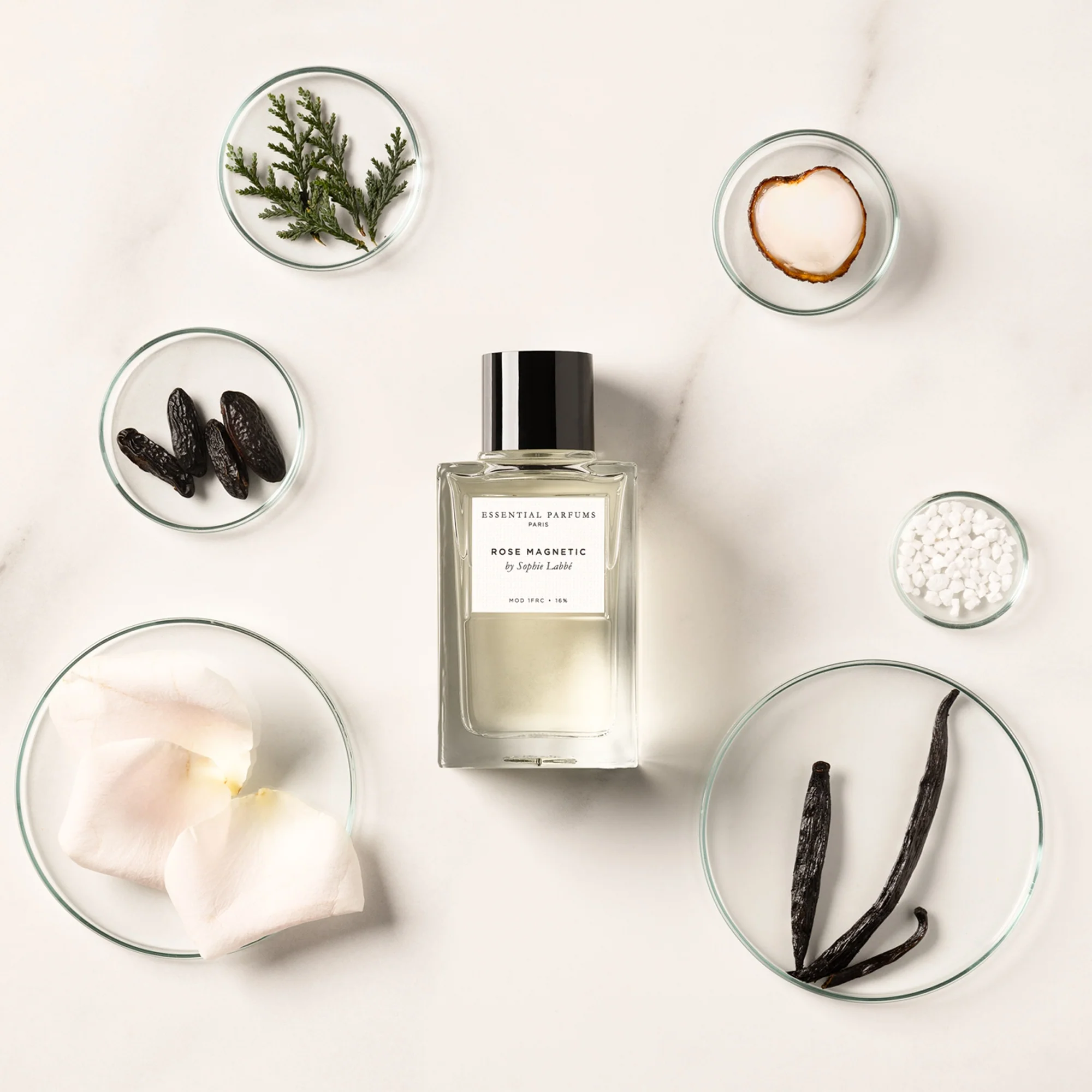 Rose Magnetic Essential Parfums - Image 5