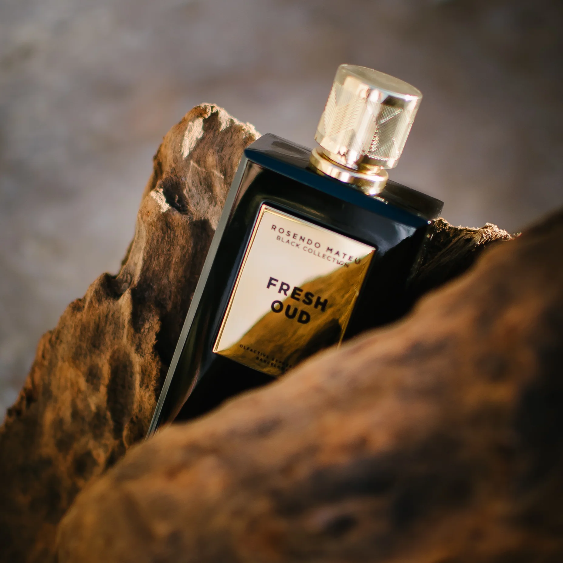 ROSENDO MATEU Fresh Oud EDP 100ml - Image 2