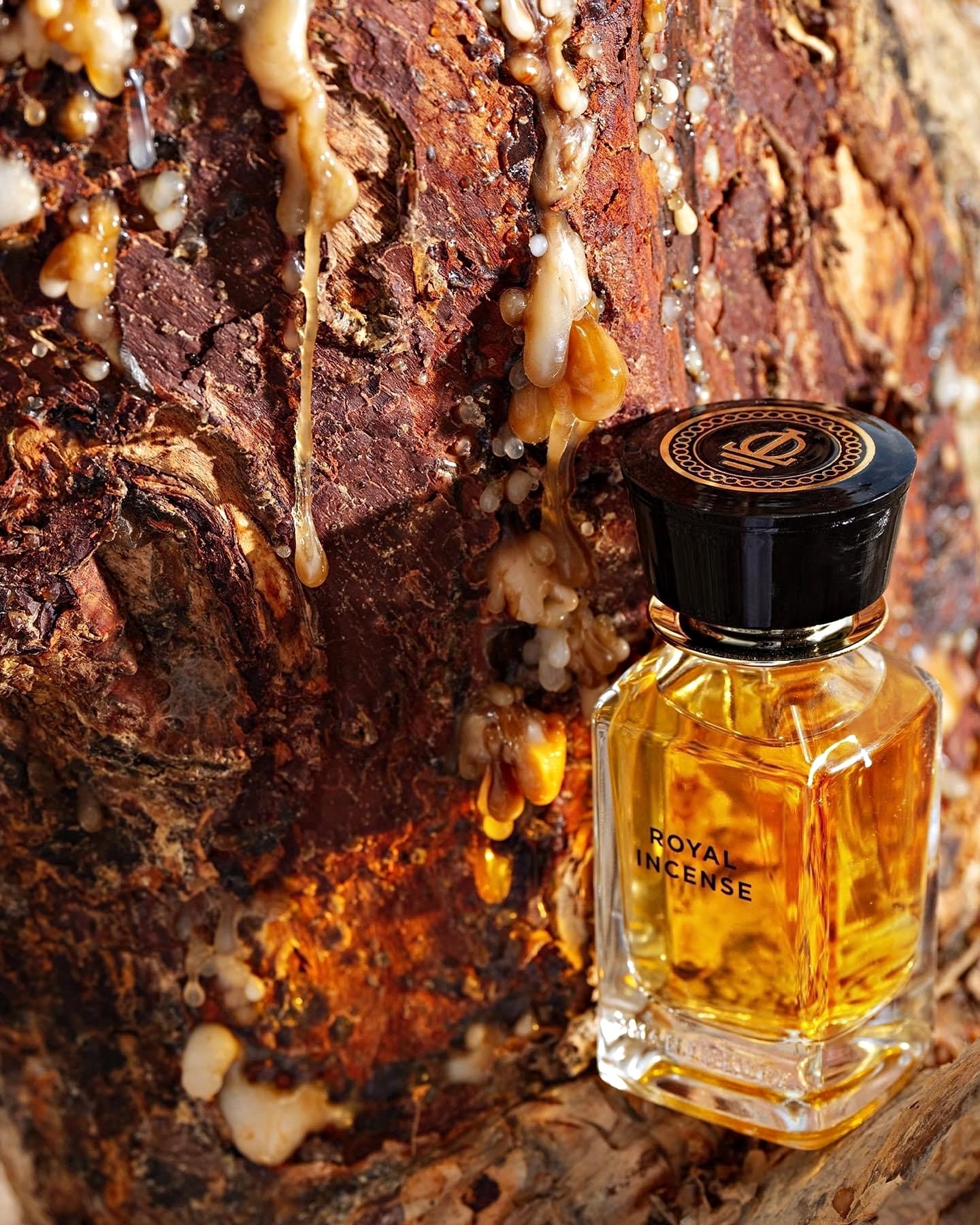 Royal Incense Oman Luxury Eau de Parfum 100ml - Image 7