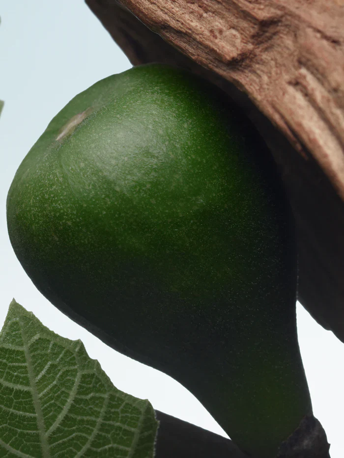Santal Greenery Dries Van Noten Eau De Parfum Sample - Image 5