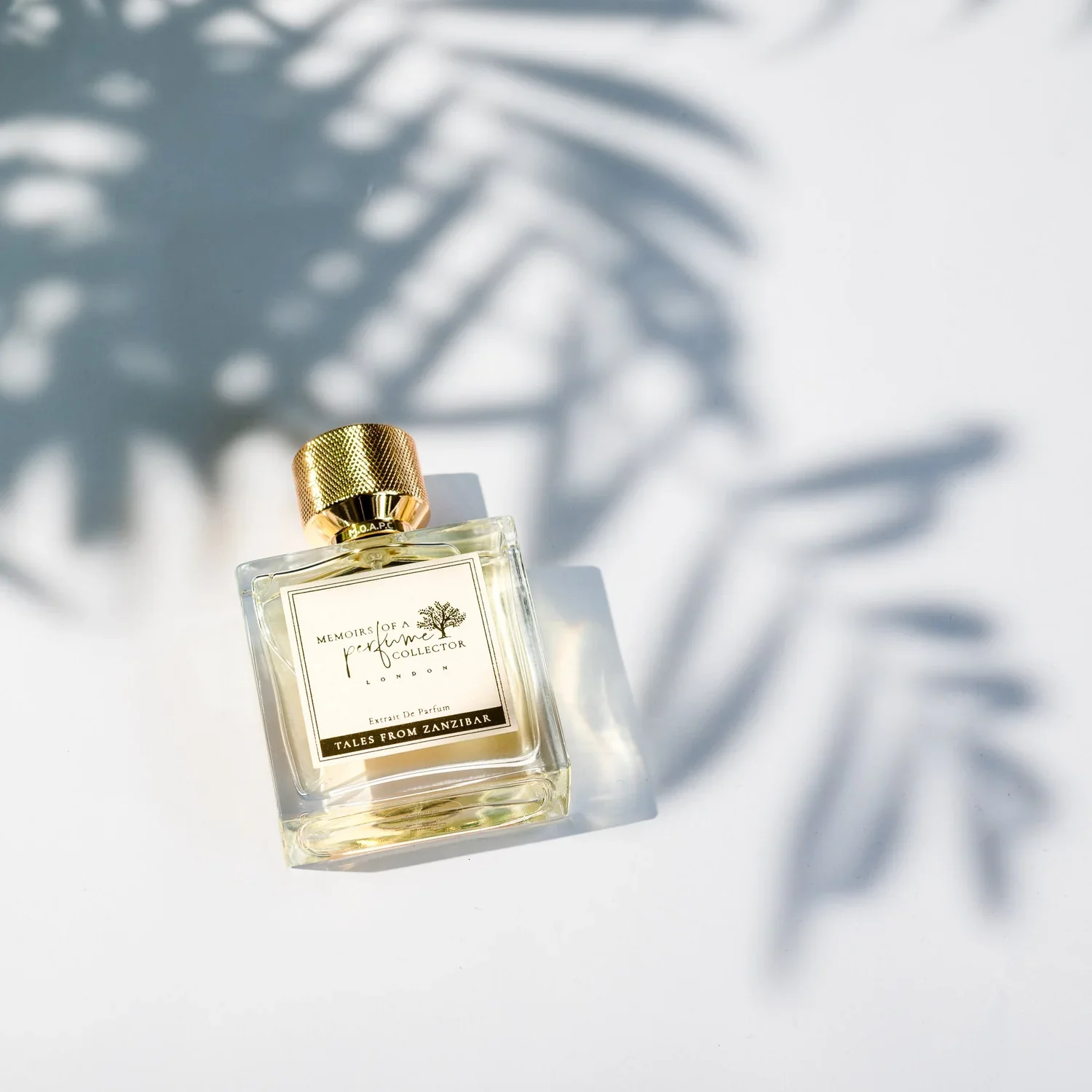 Tales from Zanzibar Memoirs of a Perfume Collector Extrait de Parfum 75ml - Image 3