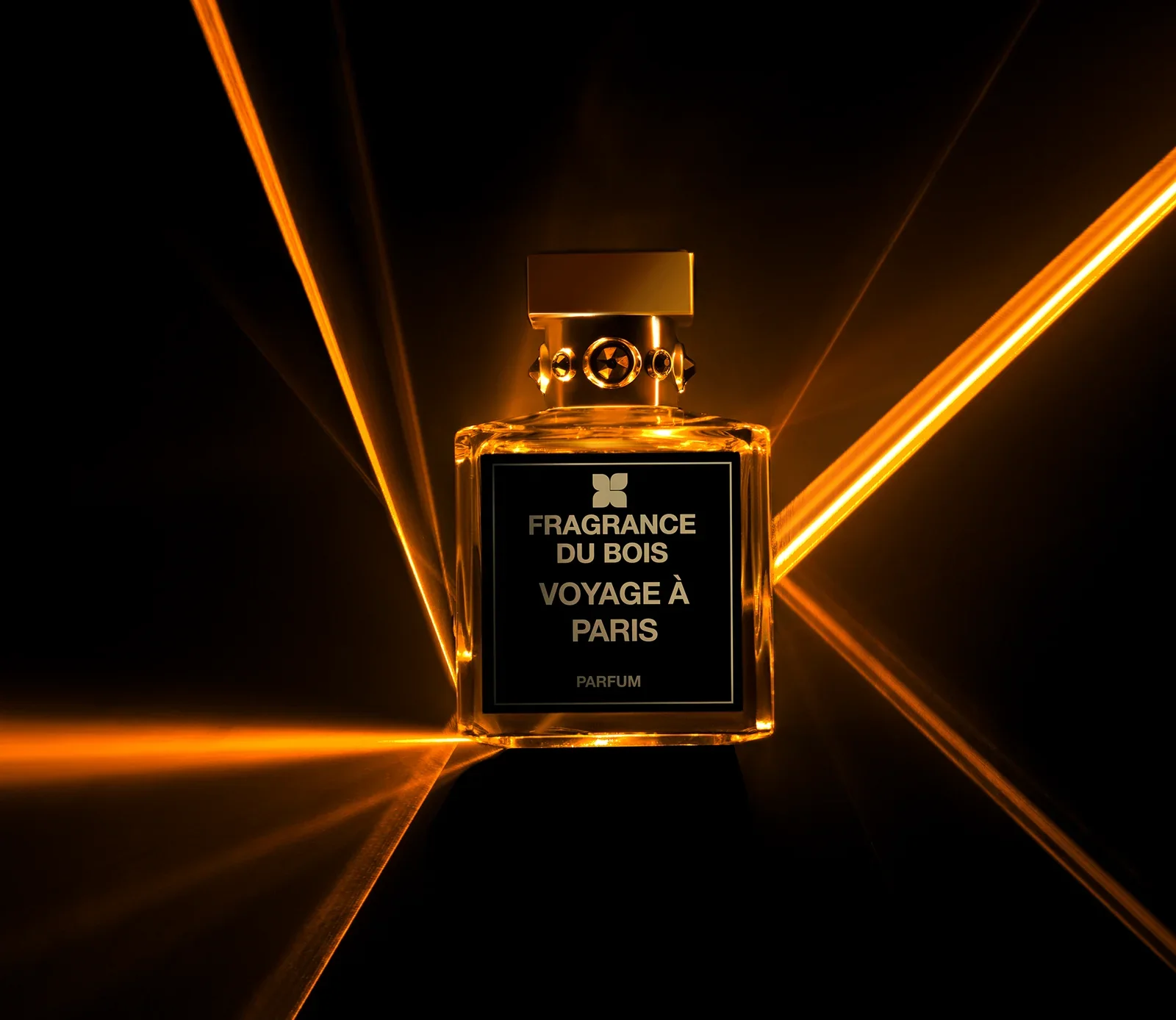 Voyage À Paris Fragrance du Bois Eau de Parfum 100ml - Image 3