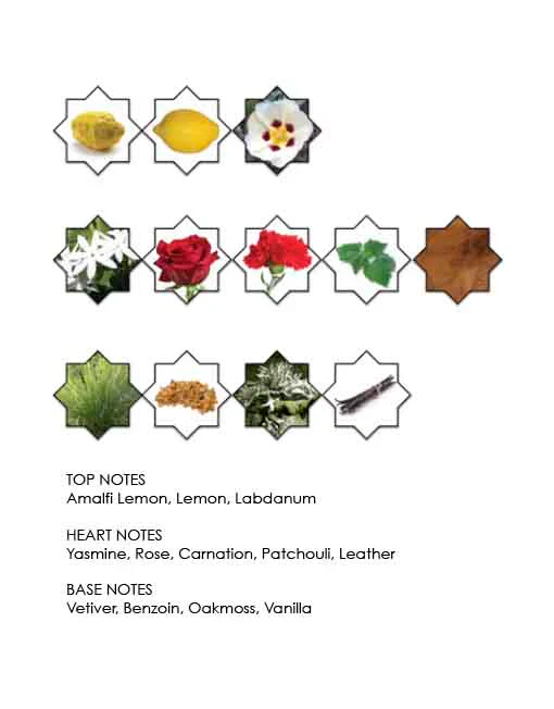 Warek By Kajal EDP 100ml - Image 5