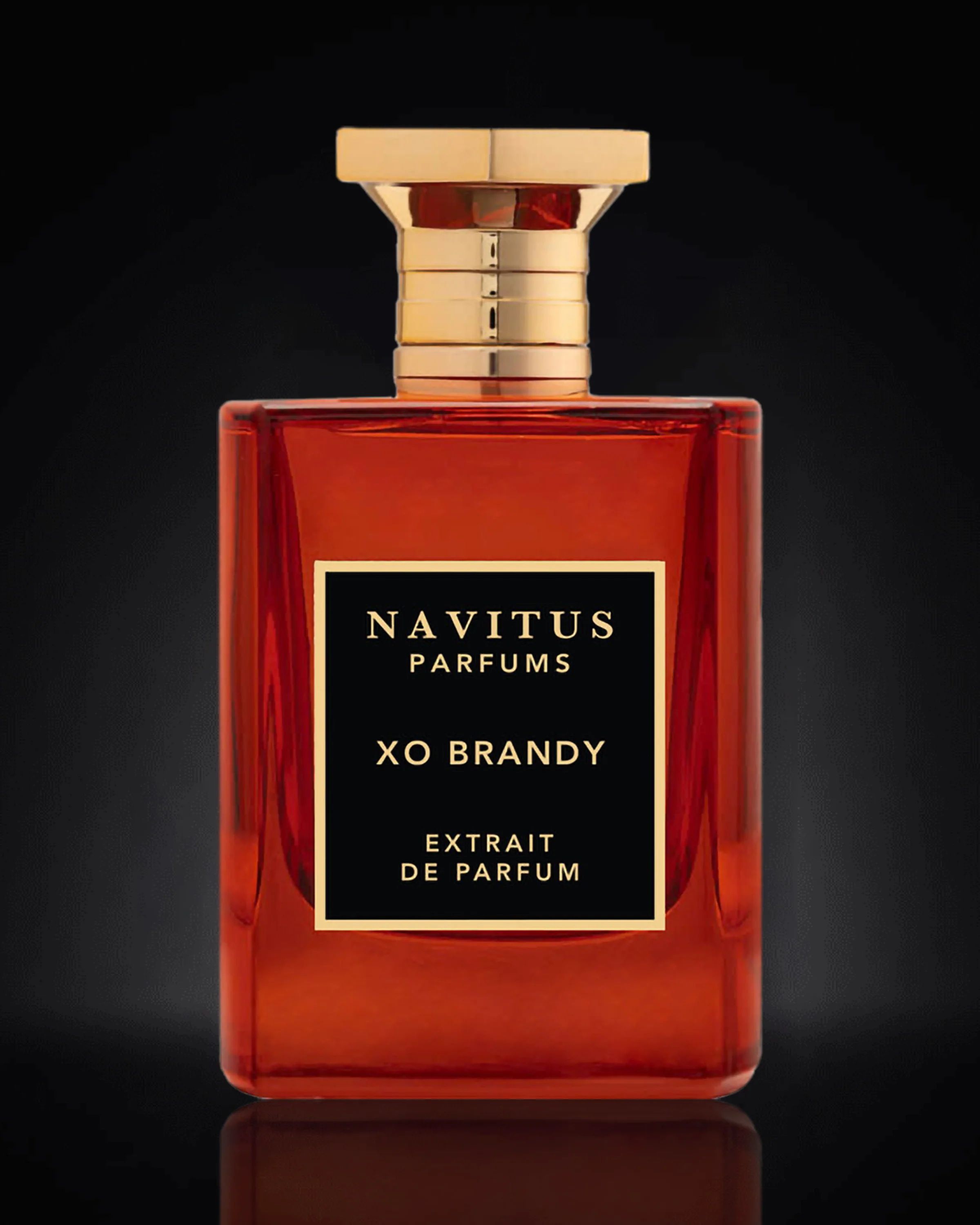 XO Brandy Navitus Extrait De Parfum 100ml - Image 4