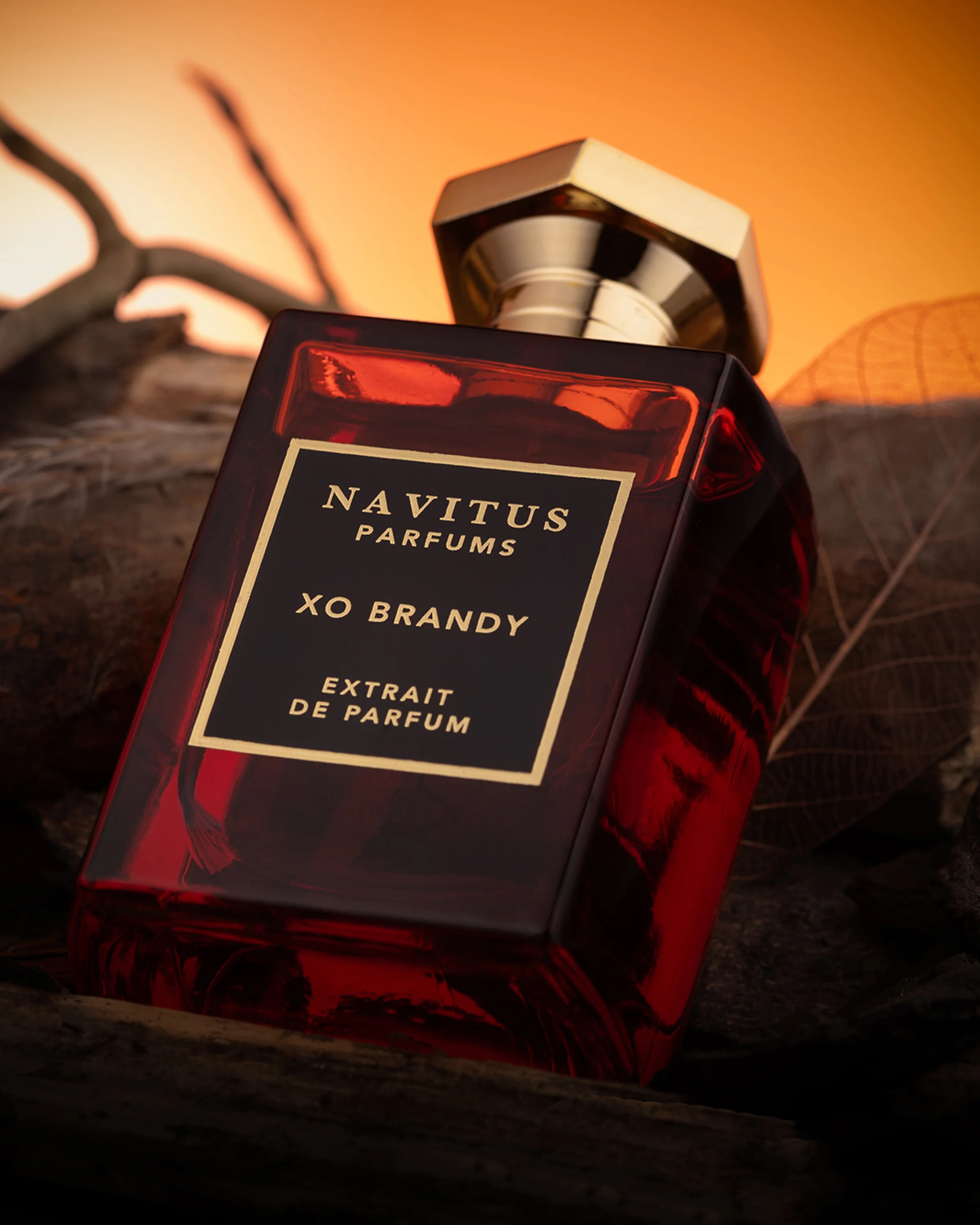 XO Brandy Navitus Extrait De Parfum 100ml - Image 6