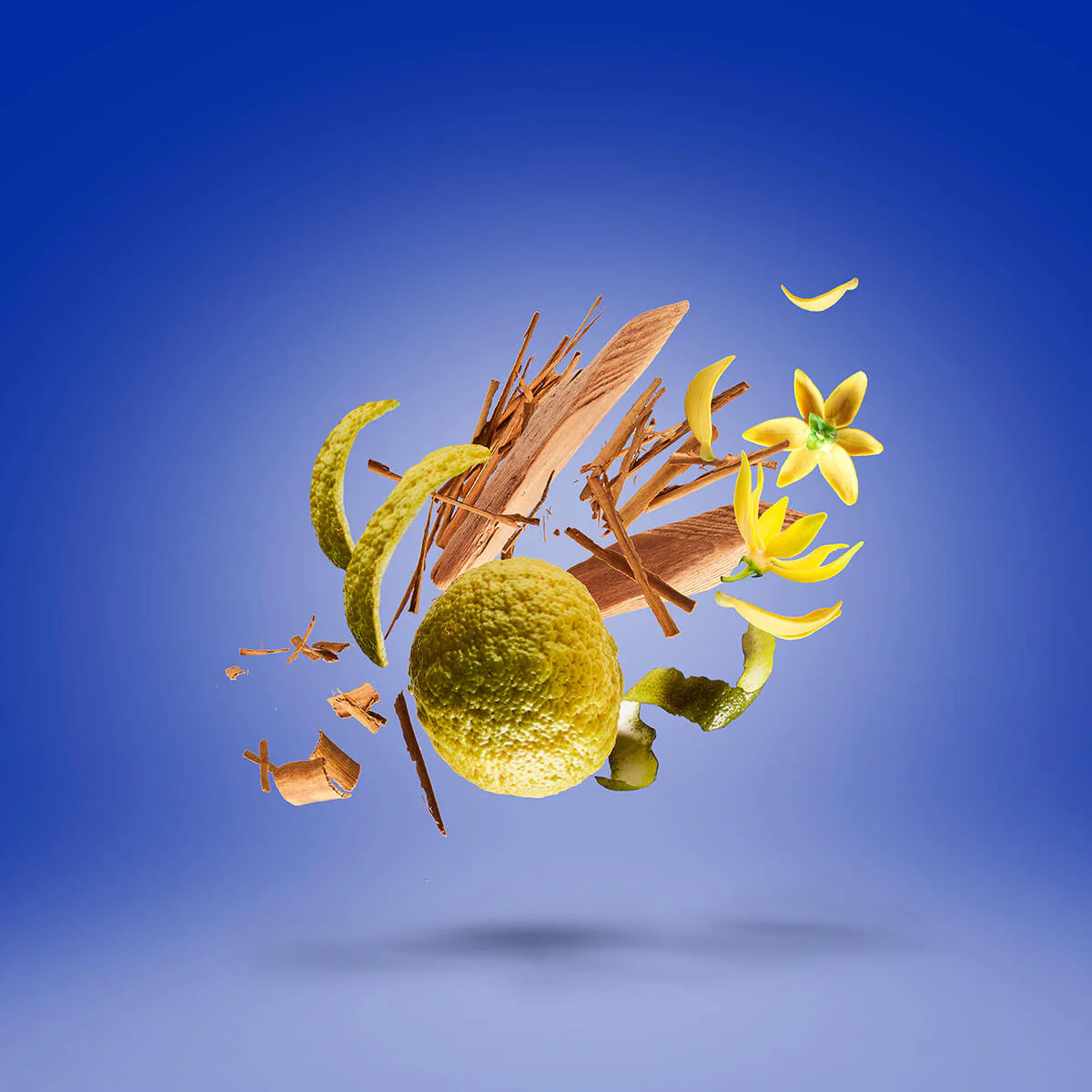 XXY 17/17 Xerjoff - Image 4